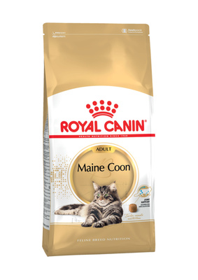 Для кошек мейн-кун 1-10 лет 21574 Royal Canin
