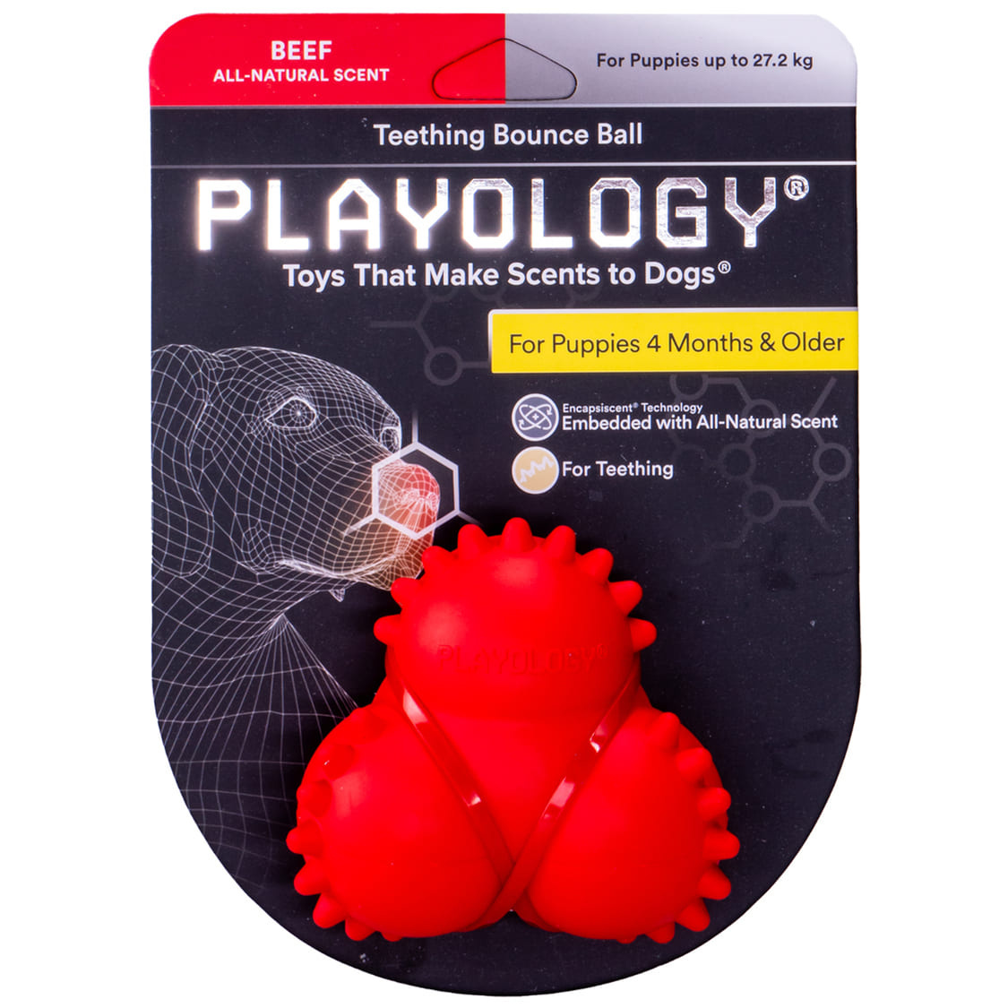 Playology дентальный жевательный тройной мяч Playology SQUEAKY BOUNCE BALL для щенков 4-8 месяцев с ароматом говядины, цвет красный (150 г)