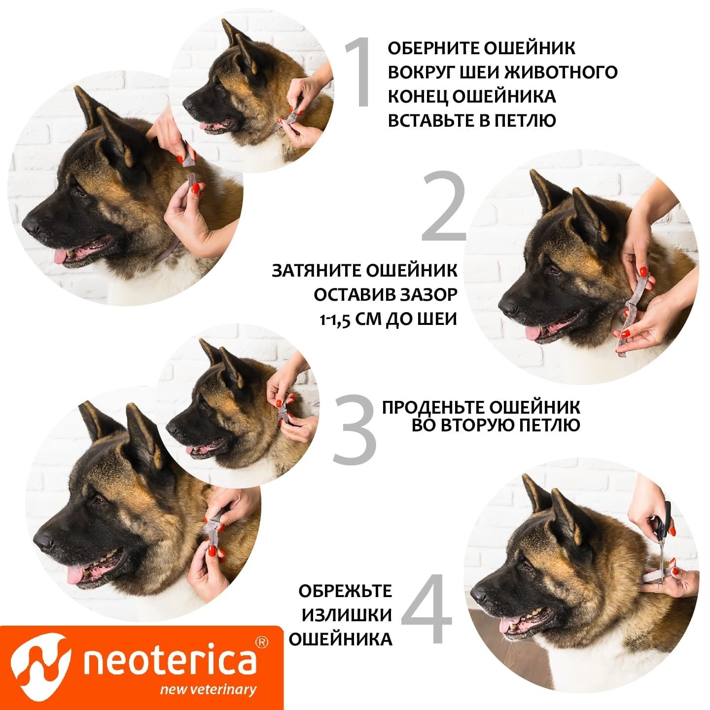 Таблетки - безопасный способ избавить собаку от клещей и блох