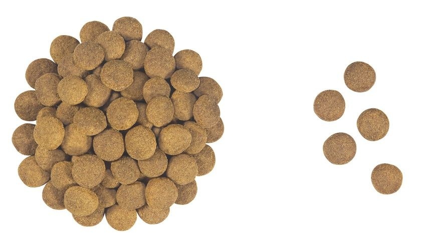Высококалорийное питание для взрослых cобак (20 кг) Royal Canin (сухие корма) Высококалорийное питание для взрослых cобак (20 кг) - фото 3
