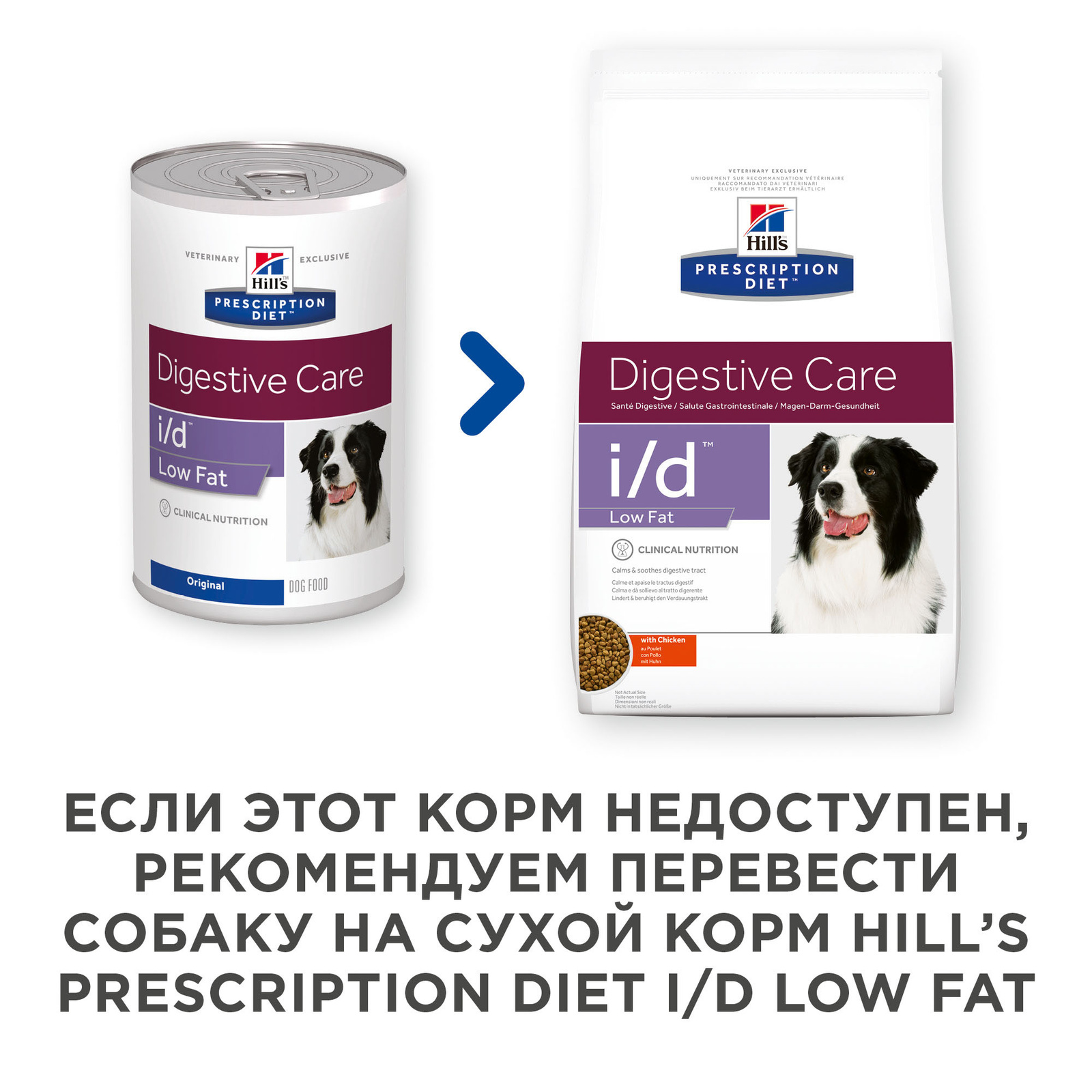 Low fat prescription dog hot sale food