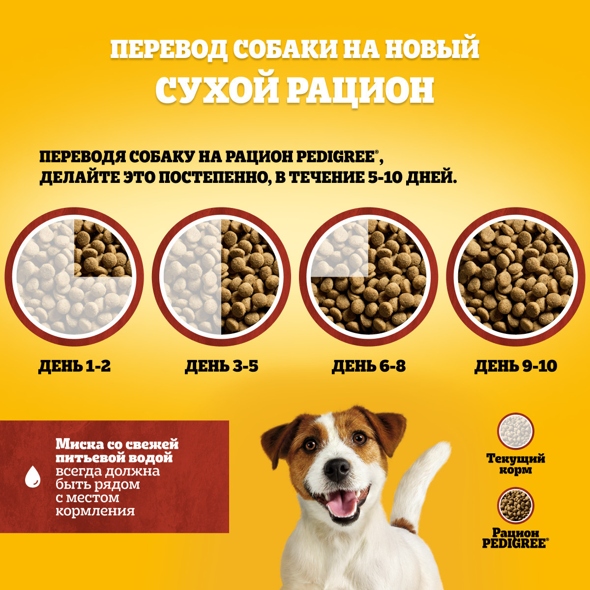 Корм Pedigree сухой корм для взрослых собак мелких и миниатюрных пород, с  говядиной, Vital Protection | Petshop.ru