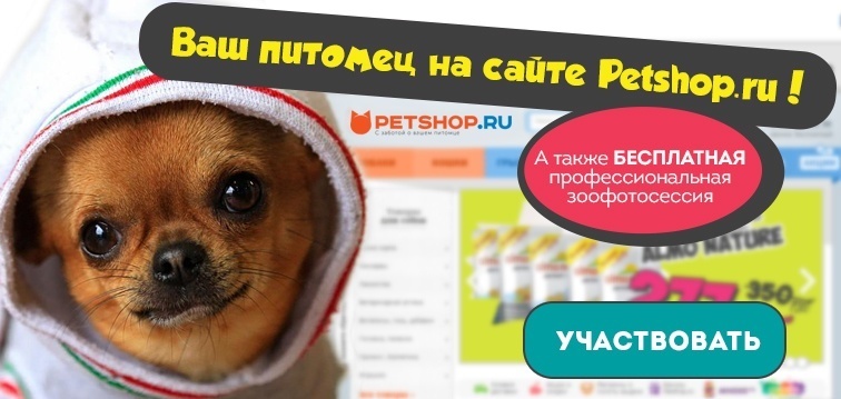 Конкурс "Ваш питомец на сайте Petshop.ru!"