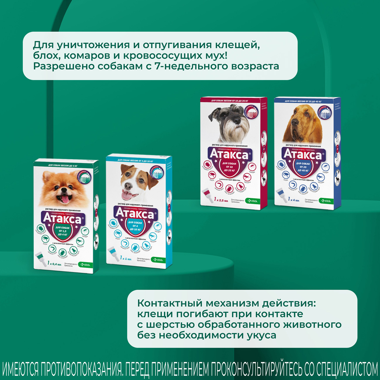 Атакса капли для собак инструкция по применению. Капли от клещей для собак атакса. Для собак от блох атакса. Атакса 25-40. Атакса от клещей отзывы