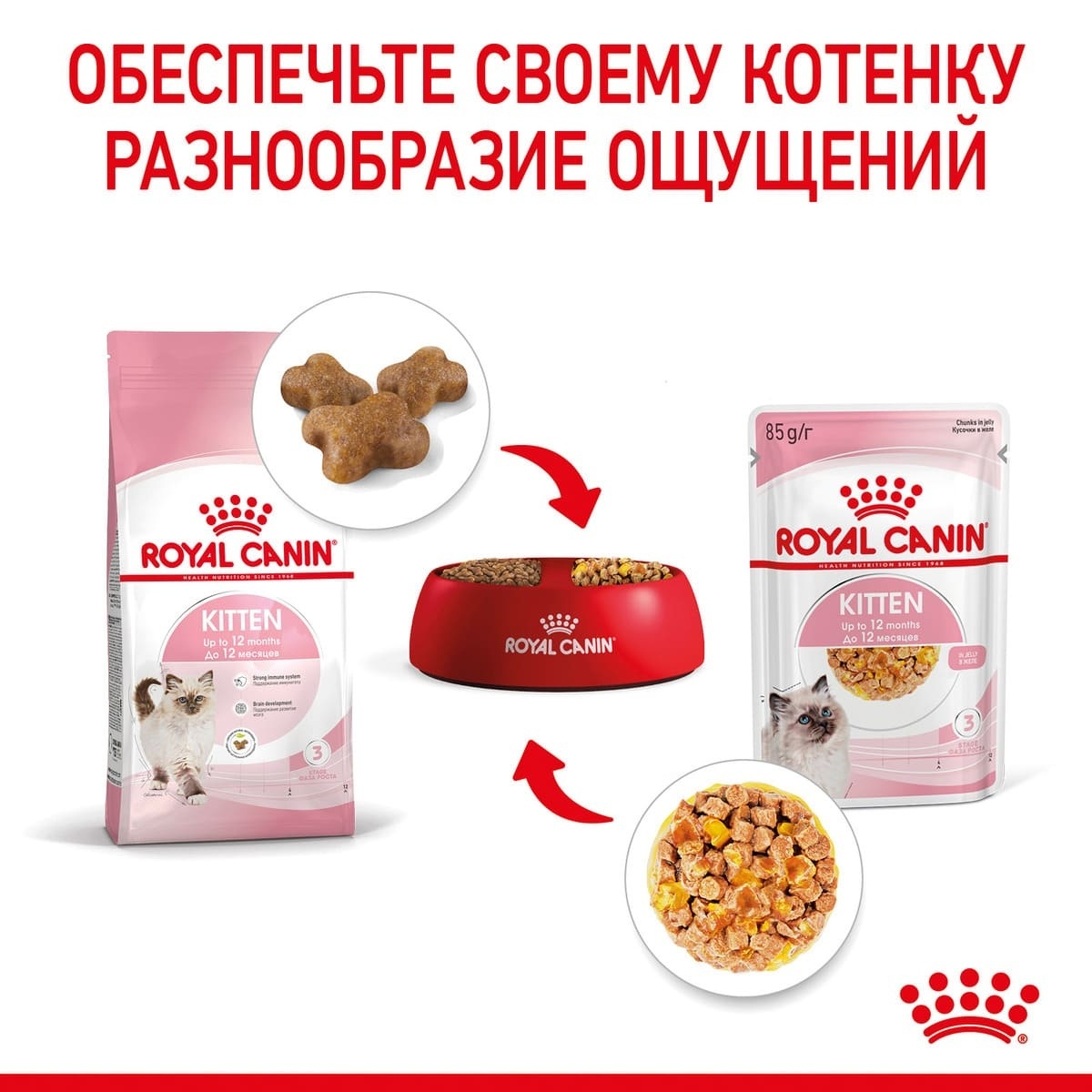 Кусочки в желе для котят: 4-12 мес. (85 г) Royal Canin (влажные корма) Кусочки в желе для котят: 4-12 мес. (85 г) - фото 7