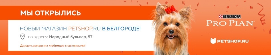 Новый магазин Petshop.ru в Белгороде!