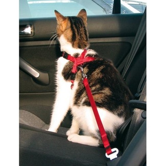 Автомобильный ремень безопасности со шлейкой для кошки, 20-50 см Trixie