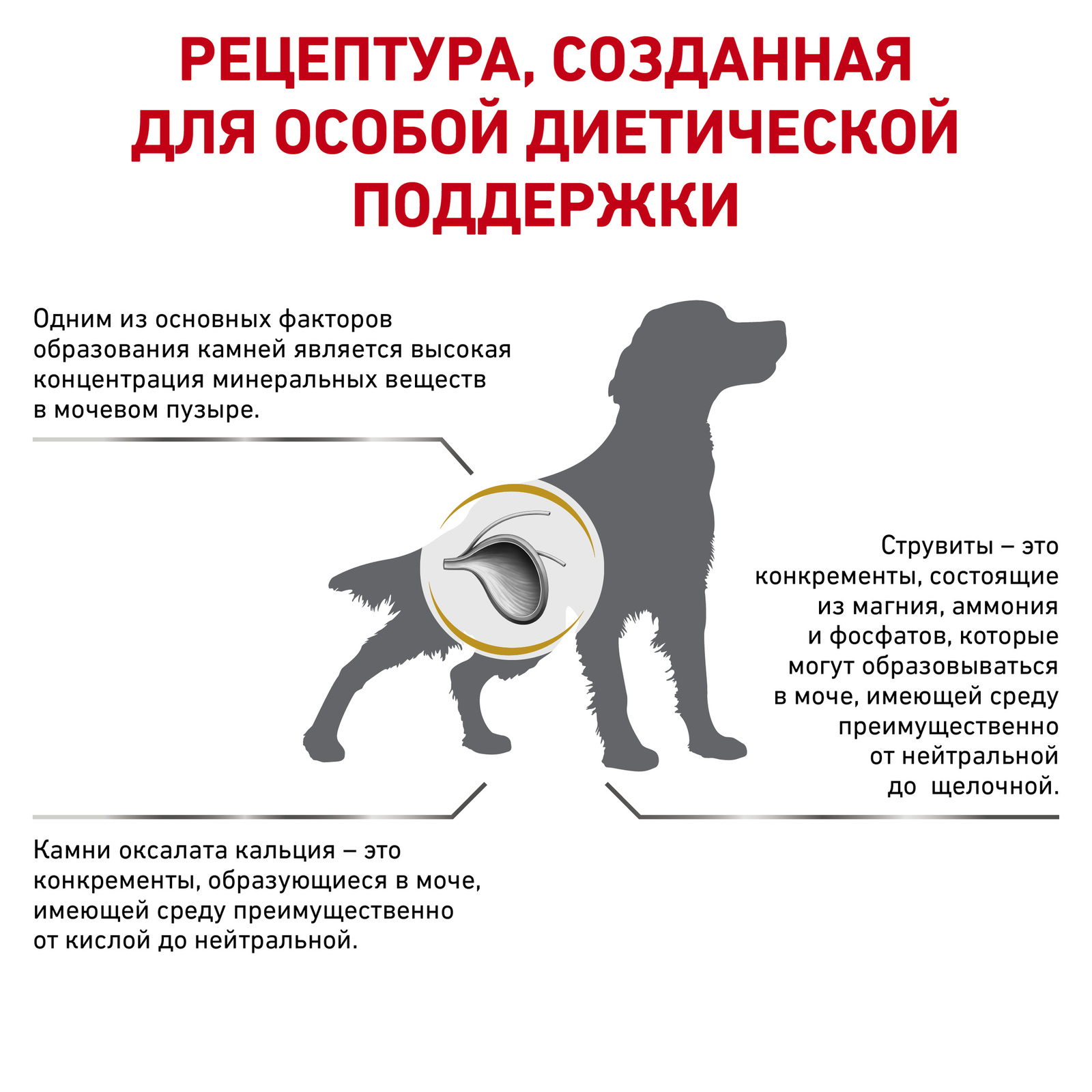Для собак при мочекаменной болезни (струвиты, оксалаты) (2 кг) Royal Canin (вет.корма) Для собак при мочекаменной болезни (струвиты, оксалаты) (2 кг) - фото 3