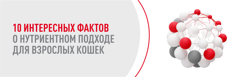 10 Интересных фактов о нутриентном подходе ROYAL CANIN® для взрослых кошек