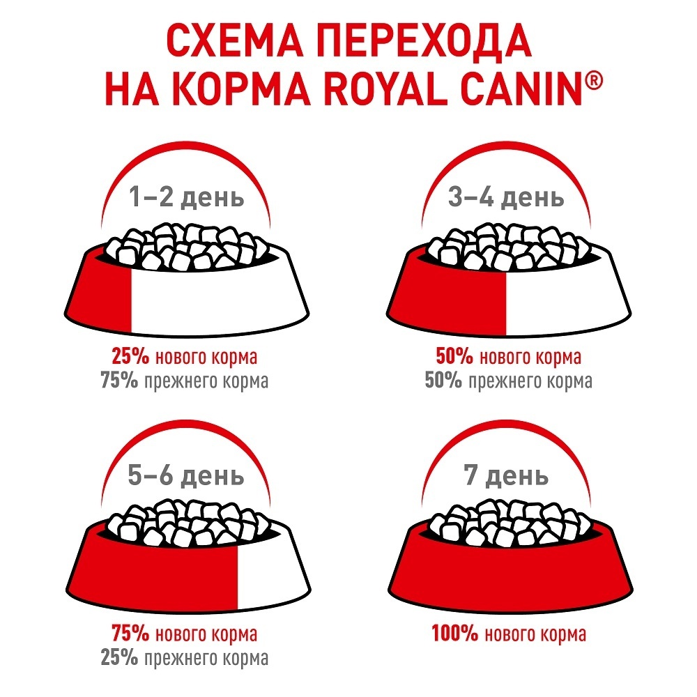 Royal Canin паучи мультипак Паучи кусочки в соусе 10 шт + Паучи кусочки в  желе 10 шт для котят 4-12 мес. , royal canin babycat, royal canin mother,  royal canin mother babycat,