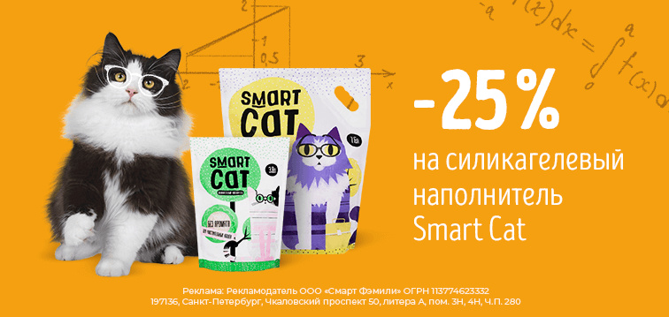 Слайд номер 18 -25% на силикагелевый наполнитель Smart Cat!