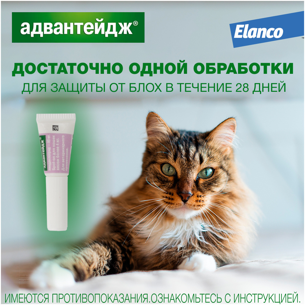 Elanco капли на холку Адвантейдж® от блох для кошек более 4 кг – 4 пипетки  | Petshop.ru