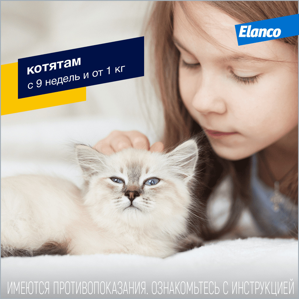 Elanco адвокат для кошек весом до 4 кг, 1 пип. х 0,4 мл, адвакат, fldjrfn |  Petshop.ru