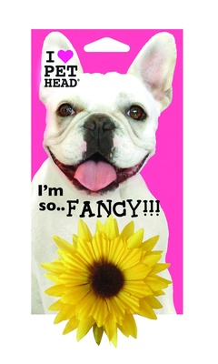 Украшение "Солнечный цветок" Pet Head