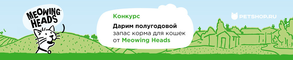 Дарим полугодовой запас корма для котов и кошек от Meowing Heads.