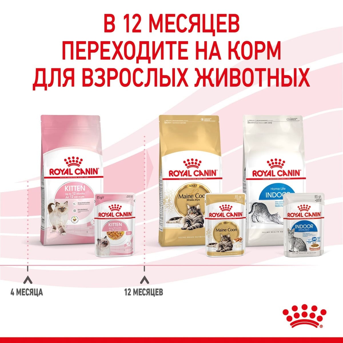 Кусочки в желе для котят: 4-12 мес. (85 г) Royal Canin (влажные корма) Кусочки в желе для котят: 4-12 мес. (85 г) - фото 8