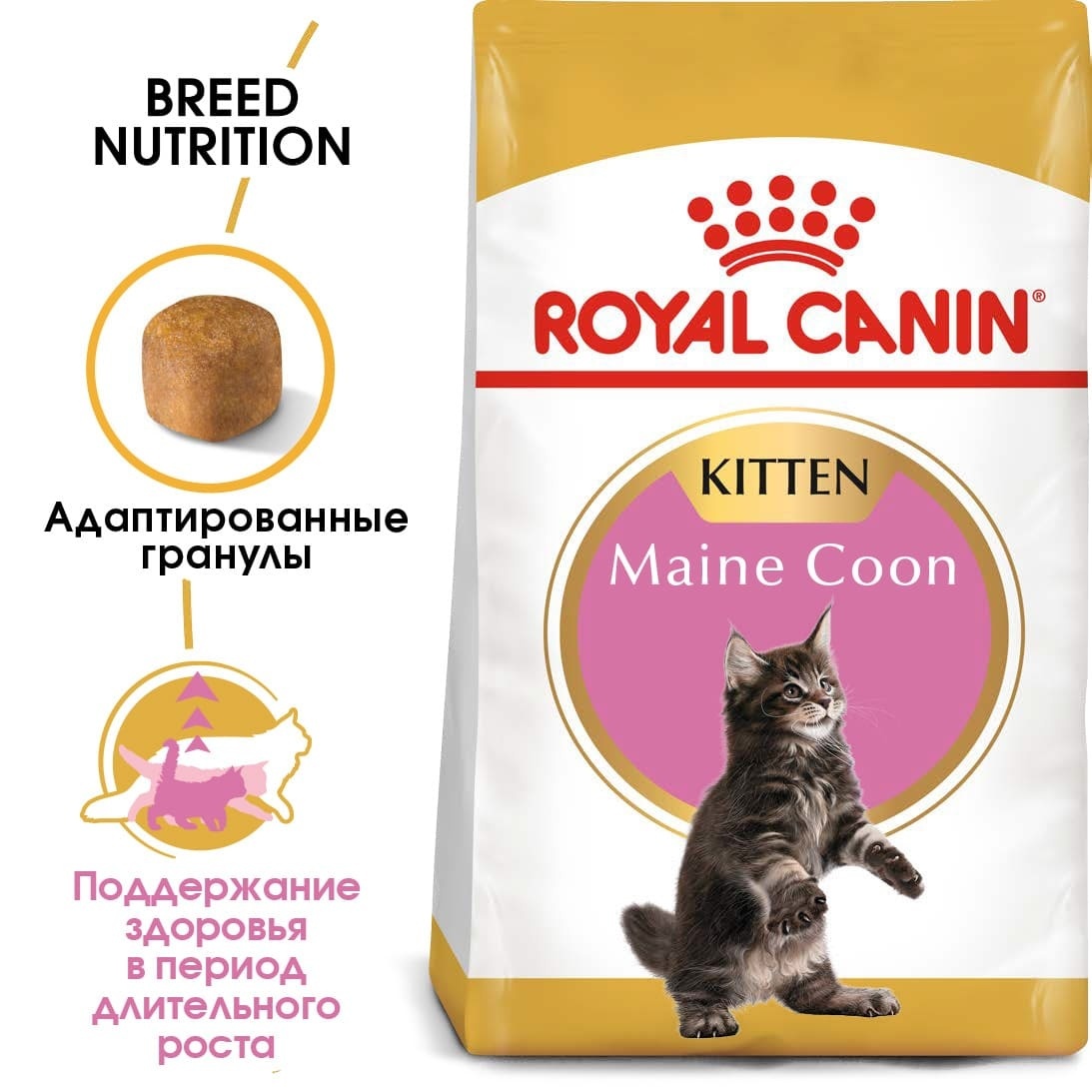 Для котят мейн-кун (4-15 мес.) (10 кг) Royal Canin (сухие корма) Для котят мейн-кун (4-15 мес.) (10 кг) - фото 2