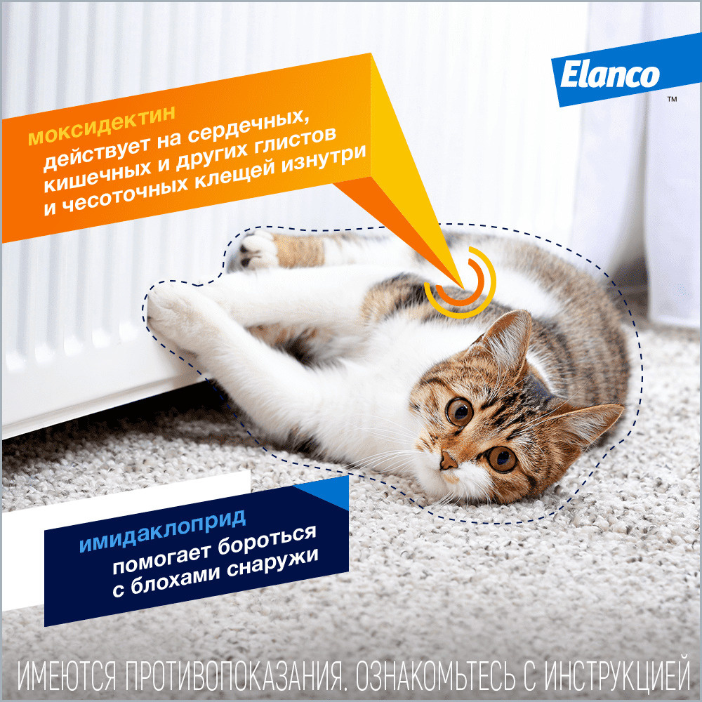 Elanco адвокат для кошек весом до 4 кг, 1 пип. х 0,4 мл, адвакат, fldjrfn |  Petshop.ru