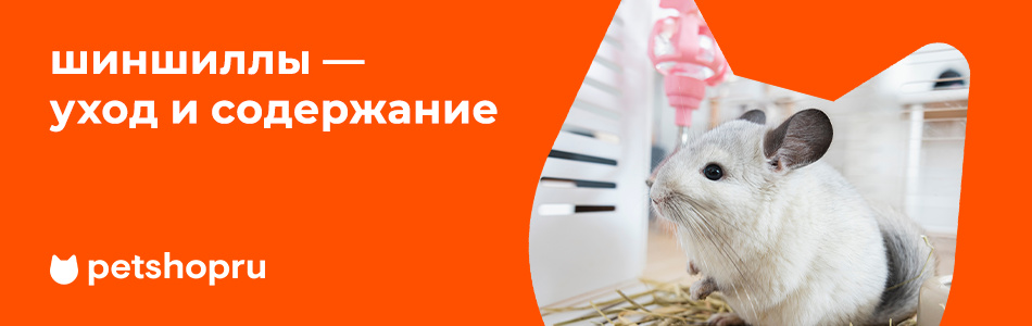 домик для шиншилл - самый большой выбор товаров для домашних любимцев по всей Украине