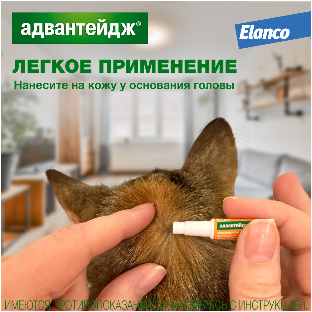 Elanco капли на холку Адвантейдж® от блох для котят и кошек до 4 кг – 4  пипетки | Petshop.ru