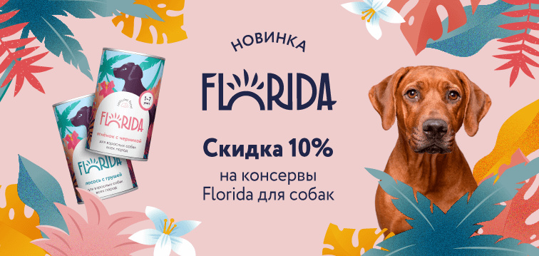 Слайд номер 18 Скидка 10% на консервы Florida!