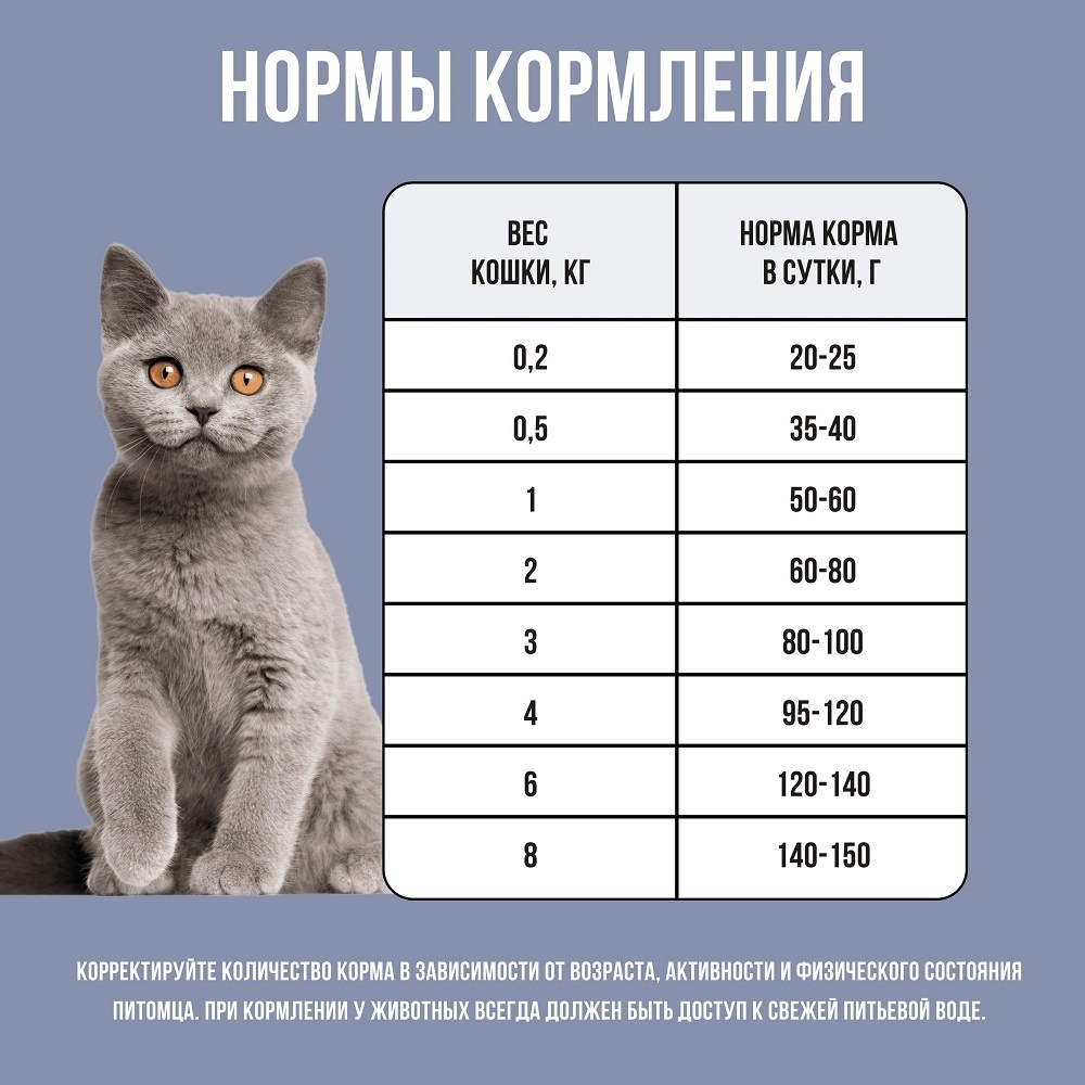 BOWL WOW сухой корм для котят с курицей и черникой | Petshop.ru