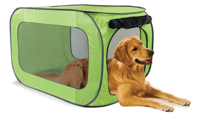Выставочные палатки для кошек и собак