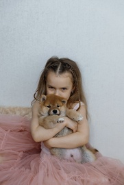Щенки сиба ину
