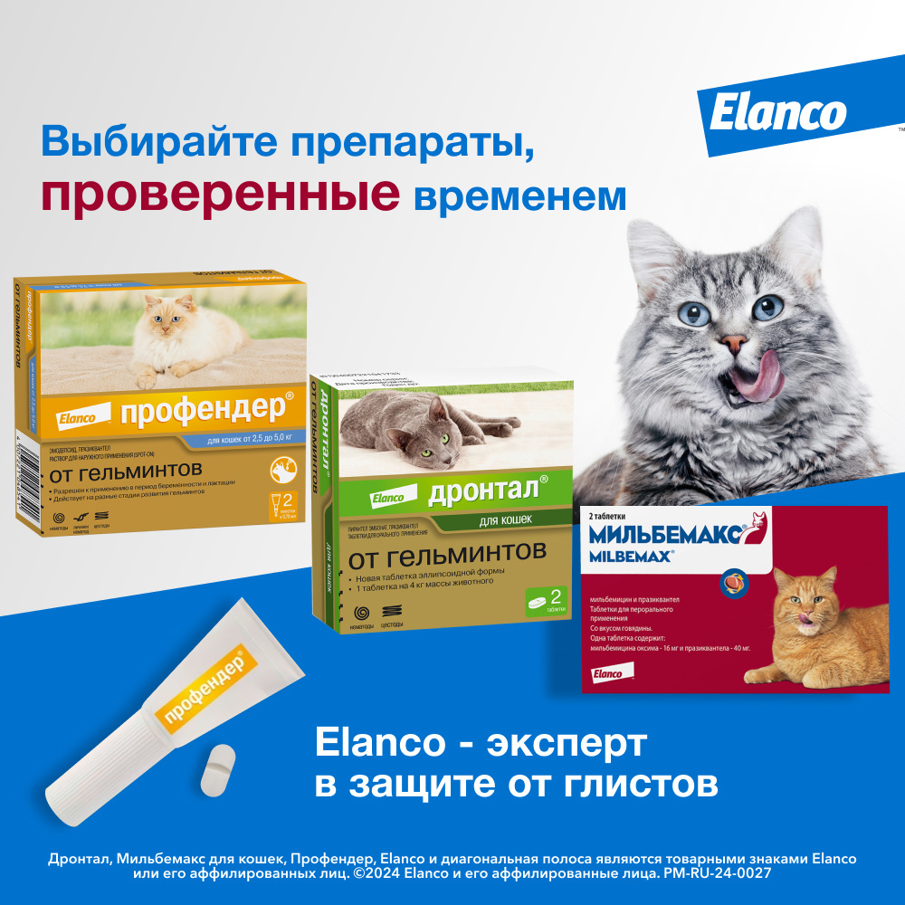 Elanco таблетки Дронтал® от гельминтов для котят и кошек – 2 таблетки,  дрантал, lhjynfk | Petshop.ru