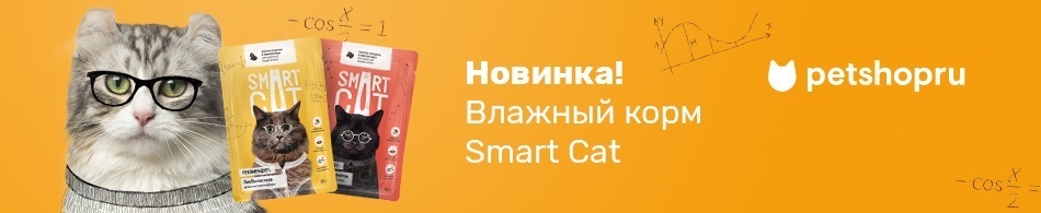 Новинка! Влажный корм Smart Cat!