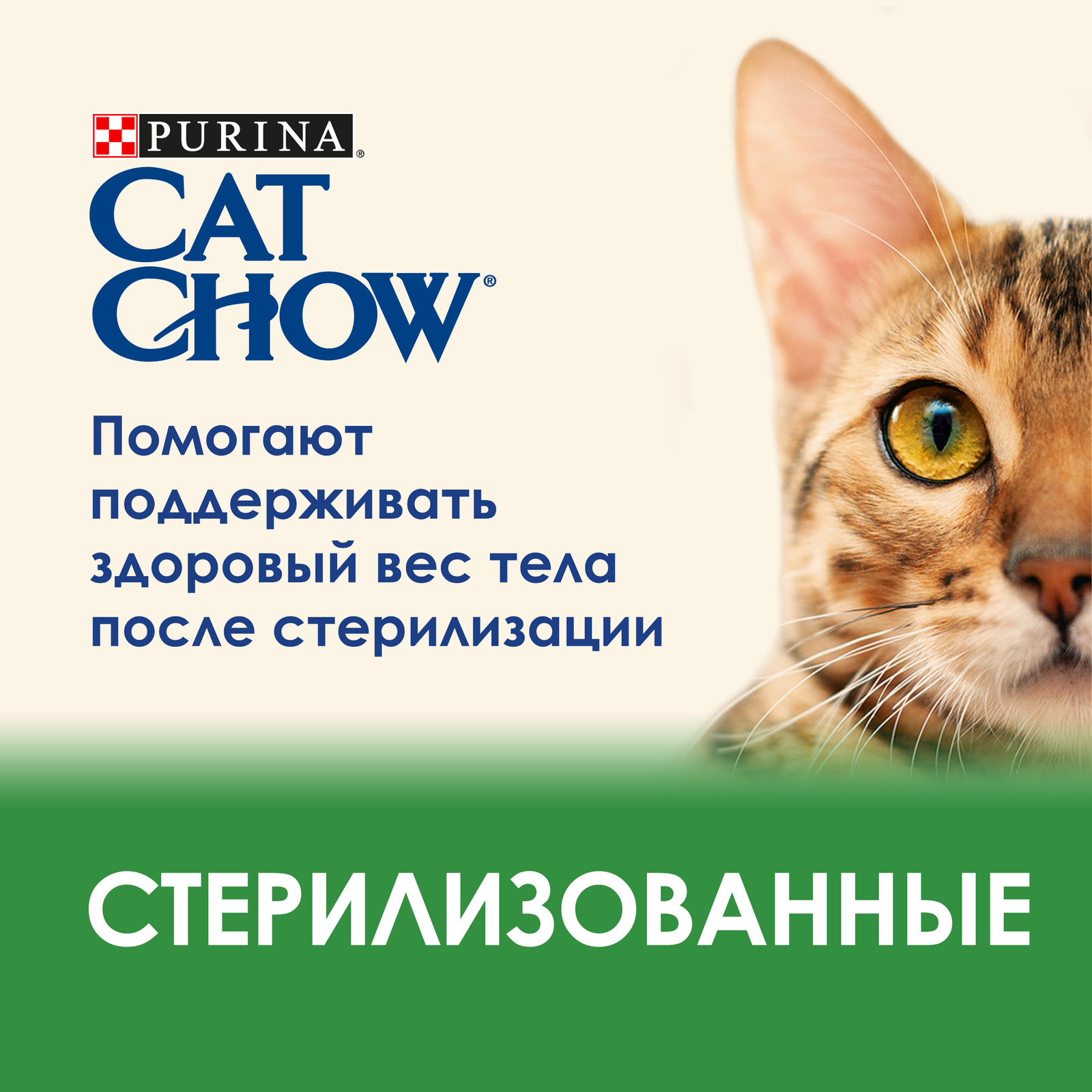 Корм Cat Chow для стерилизованных кошек и кастрированных котов, с высоким  содержанием домашней птицы, Special Care Sterilised | Petshop.ru