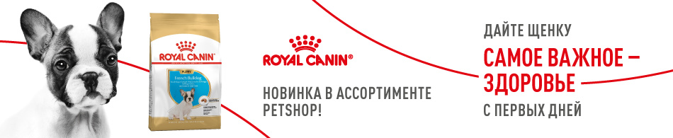 Новинка в ассортименте Petshop: сухой корм Buldog Puppy от Royal Canin!