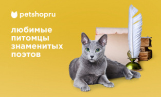 Пушистые музы. Любимые питомцы знаменитых поэтов