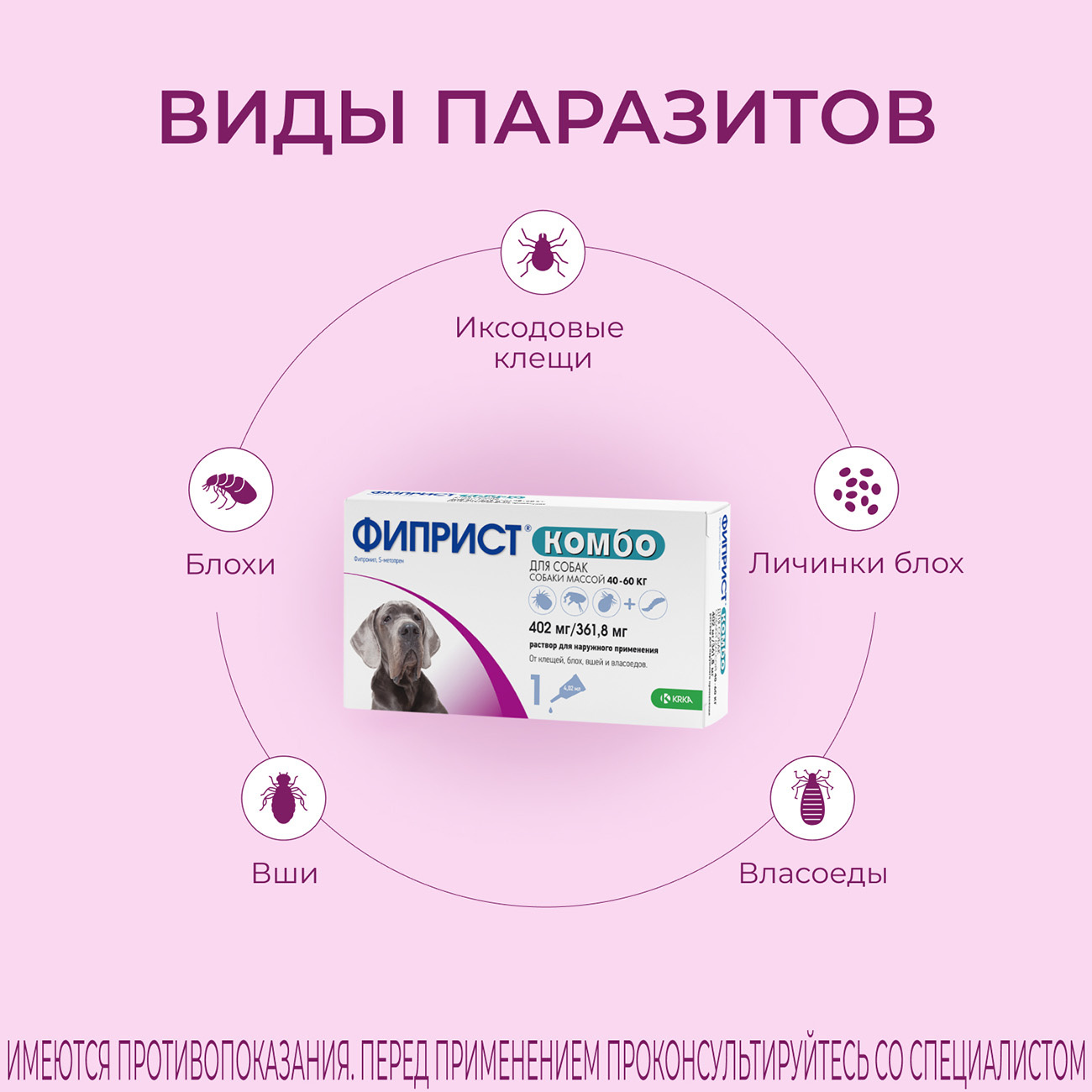 Таблетка комбо. Капли «Фиприст» Krka. Фиприст комбо отзывы. Фиприст для собак инструкция по применению капли