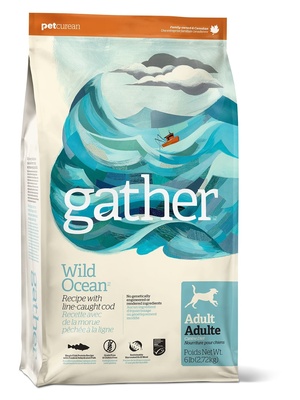 Органический корм для собак с океанической рыбой GATHER