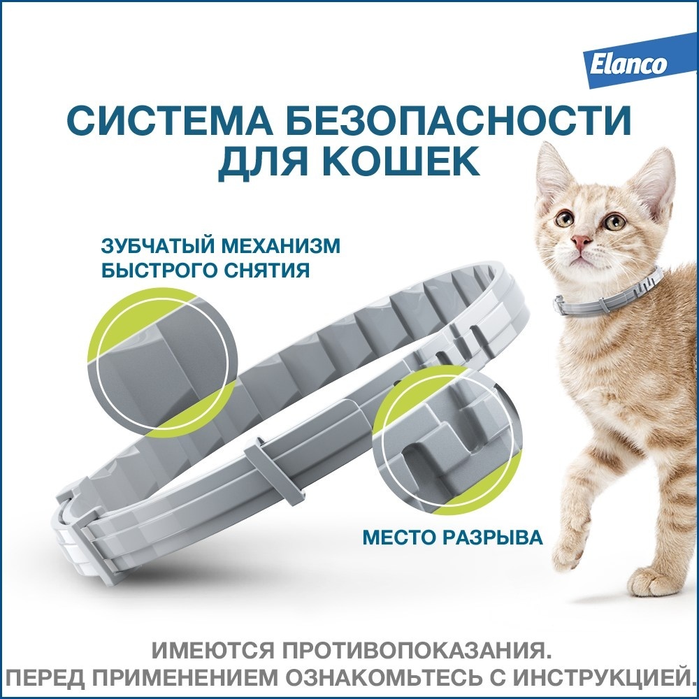 Elanco форесто® ошейник от клещей и блох для кошек, foresta | Petshop.ru