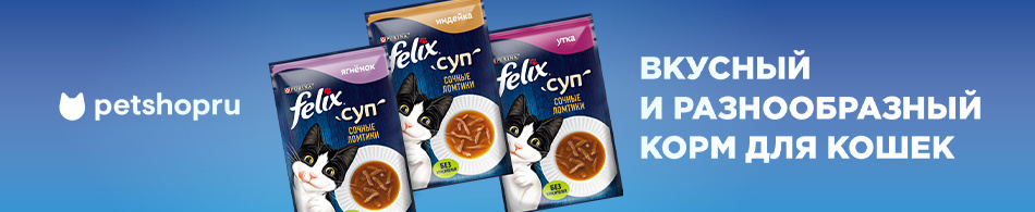Новые вкусы супов для кошек от FELIX®!