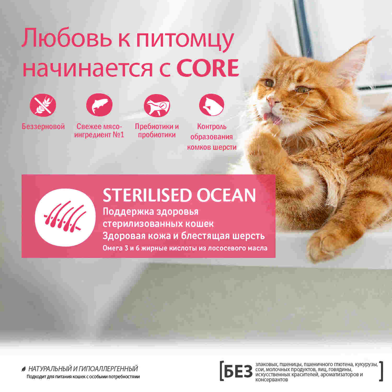 Корм Wellness CORE из лосося для стерилизованных кошек и кастрированных котов (1,75 кг) Wellness CORE Корм Wellness CORE из лосося для стерилизованных кошек и кастрированных котов (1,75 кг) - фото 3