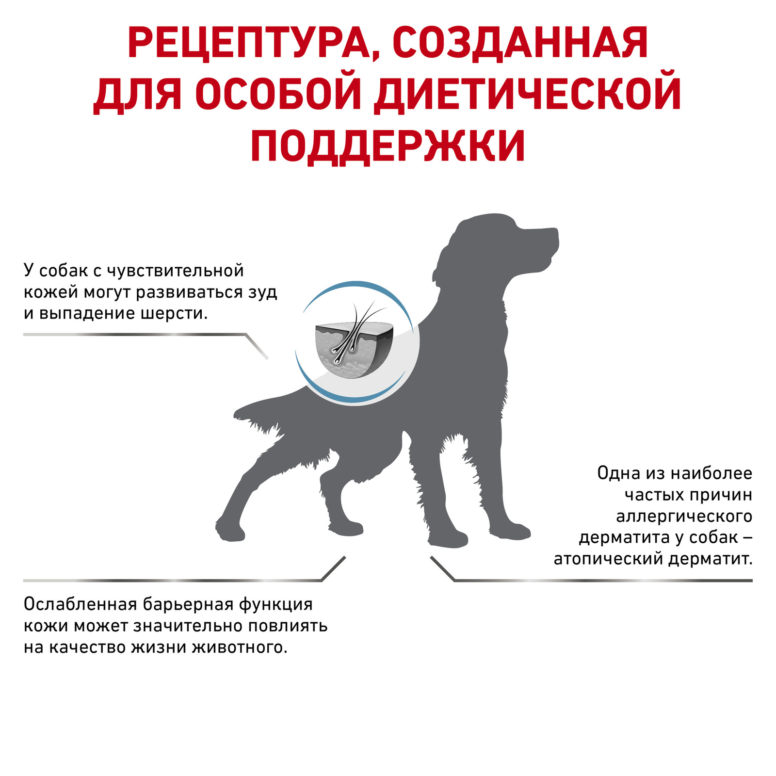 Для собак при атопии и дерматозах (7 кг) Royal Canin (вет.корма) Для собак при атопии и дерматозах (7 кг) - фото 3