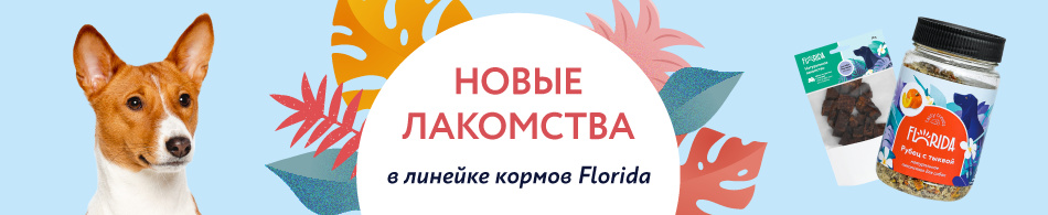 Новинки лакомств в ассортименте Florida!