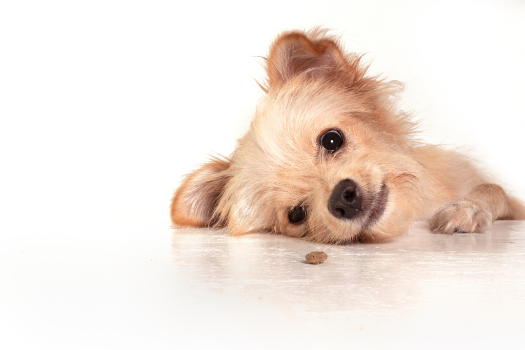 shutterstock_2162869151.jpg